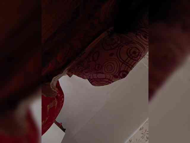 -NeZabudka webcam