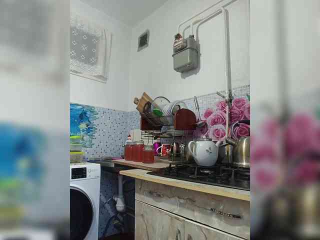 -NeZabudka webcam