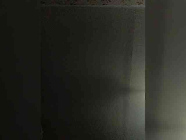 -NeZabudka webcam