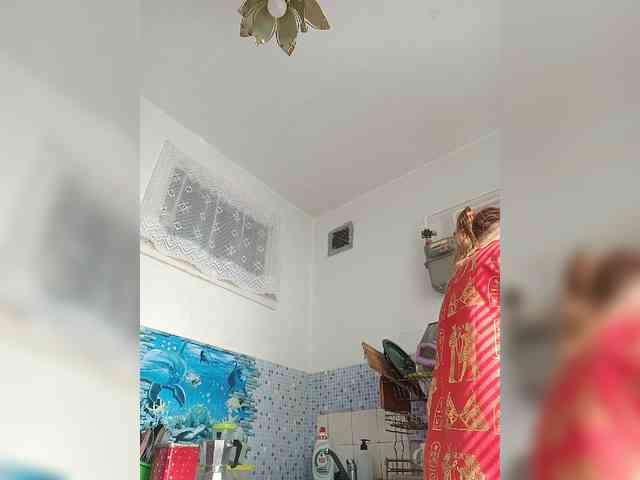 -NeZabudka webcam