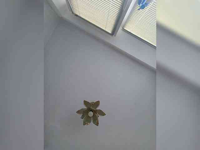 -NeZabudka webcam