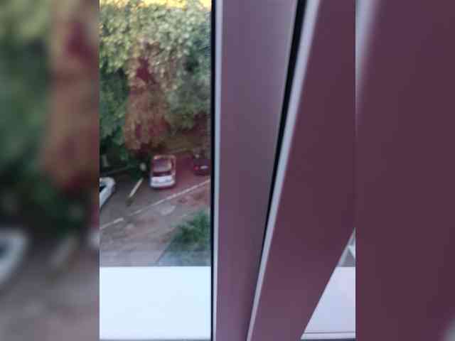 Ne_Zabudka webcam