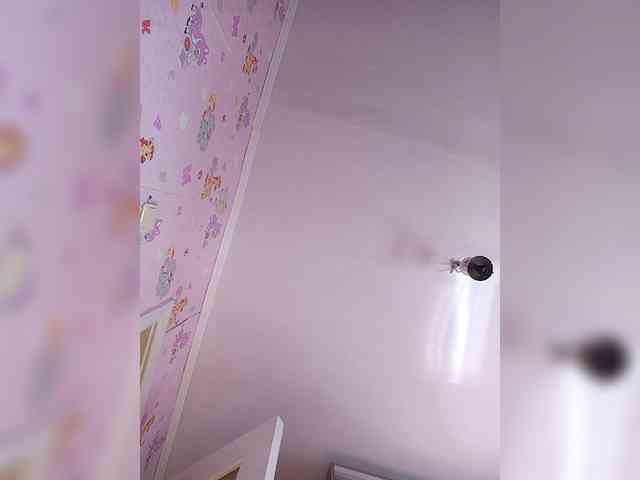 -NeZabudka webcam