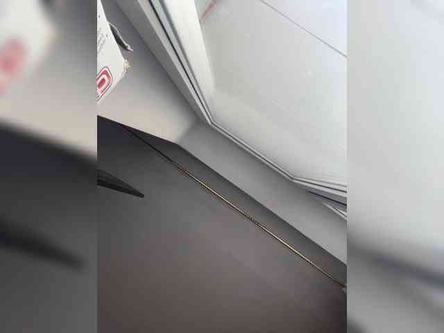 -NeZabudka webcam