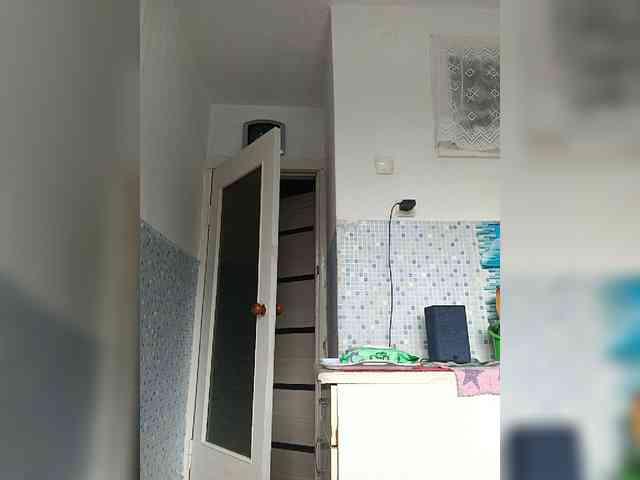-NeZabudka