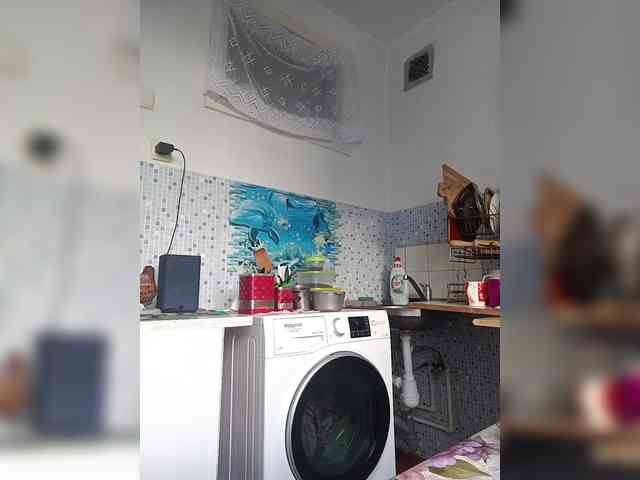 -NeZabudka webcam