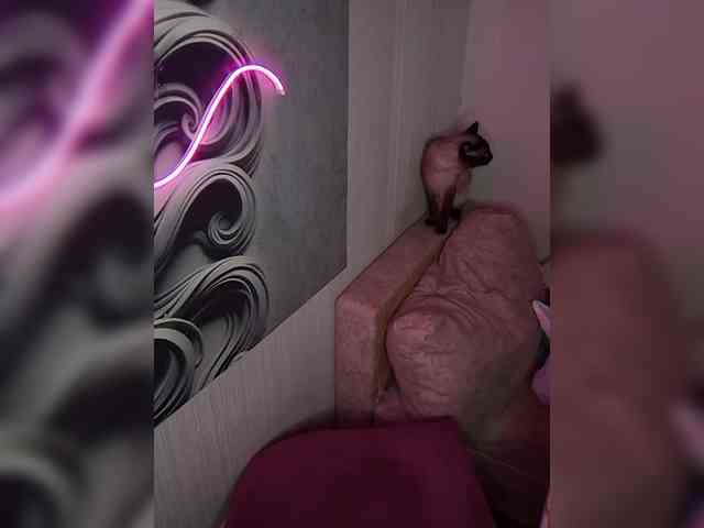 Brunetochkaaa webcam