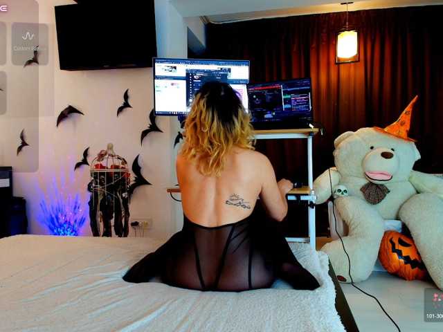 aryahunt live cam preview
