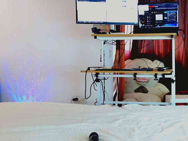 aryahunt webcam