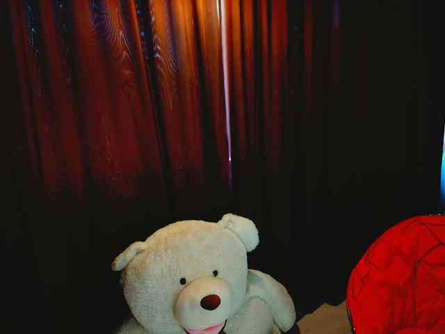 aryahunt webcam