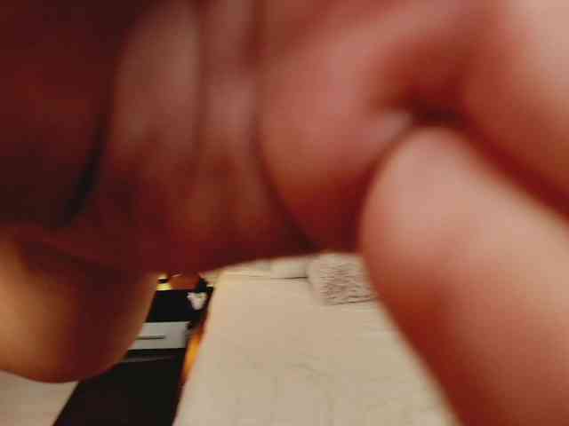 aryahunt webcam