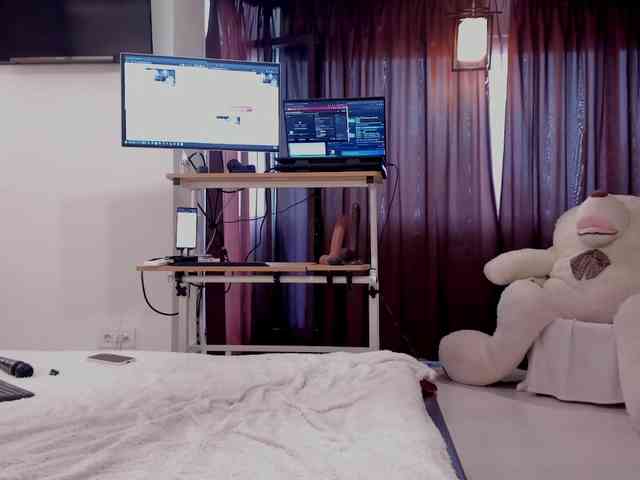 aryahunt webcam