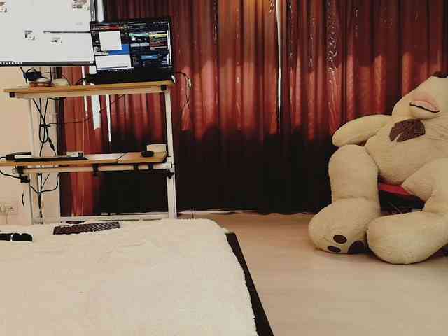 aryahunt webcam