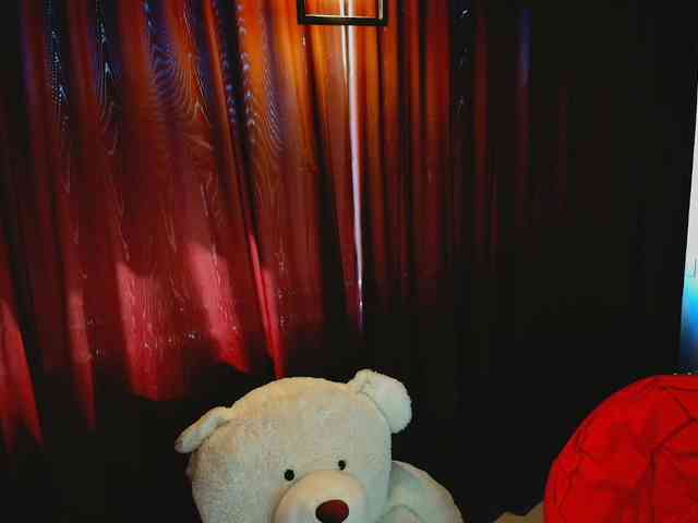 aryahunt webcam
