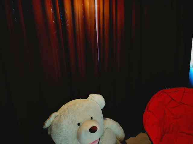 aryahunt webcam