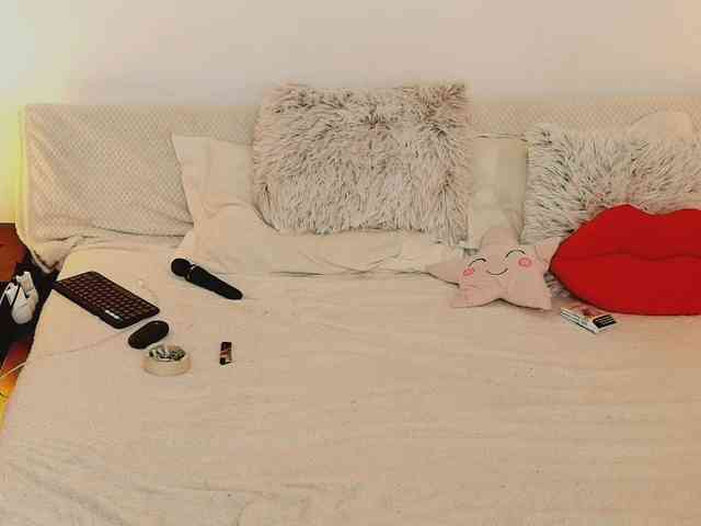 aryahunt webcam