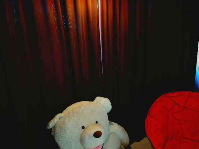 aryahunt webcam