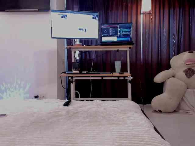 aryahunt webcam