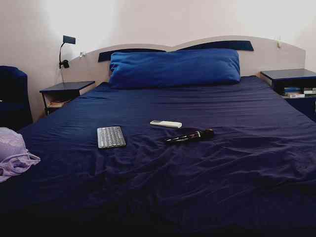 aryahunt webcam