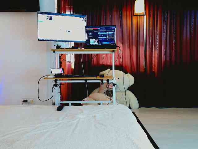 aryahunt webcam