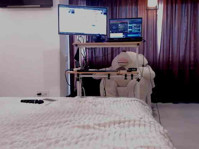 aryahunt webcam
