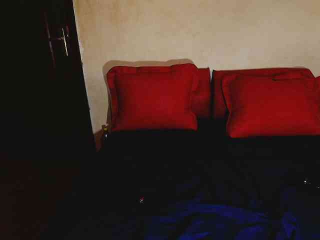 aryahunt webcam