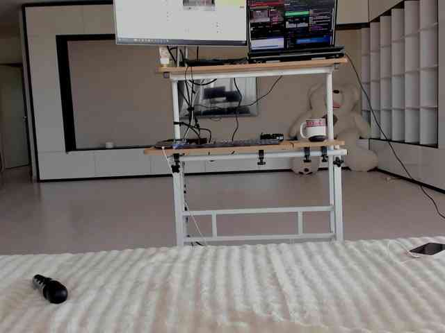 aryahunt webcam