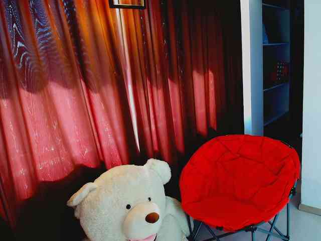 aryahunt webcam