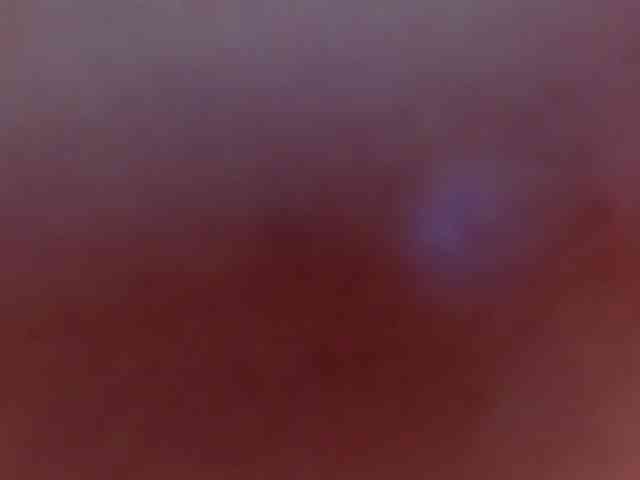 aryahunt webcam