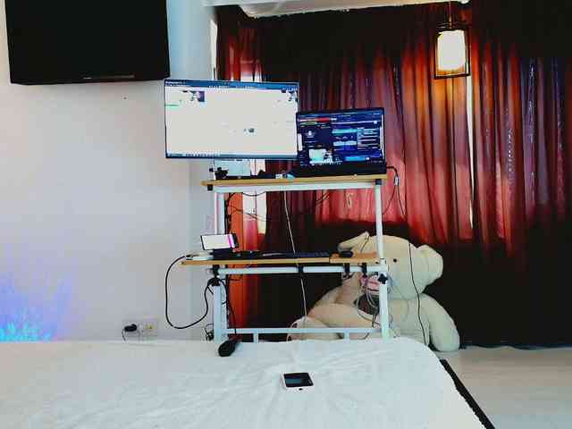 aryahunt webcam