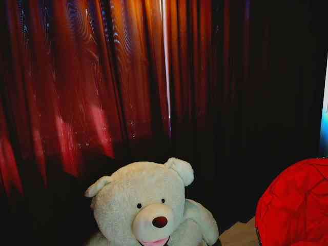 aryahunt webcam