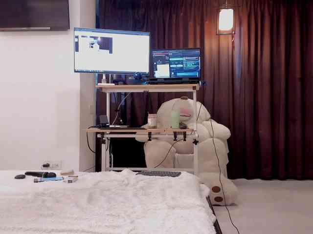 aryahunt webcam