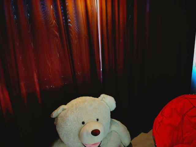 aryahunt webcam
