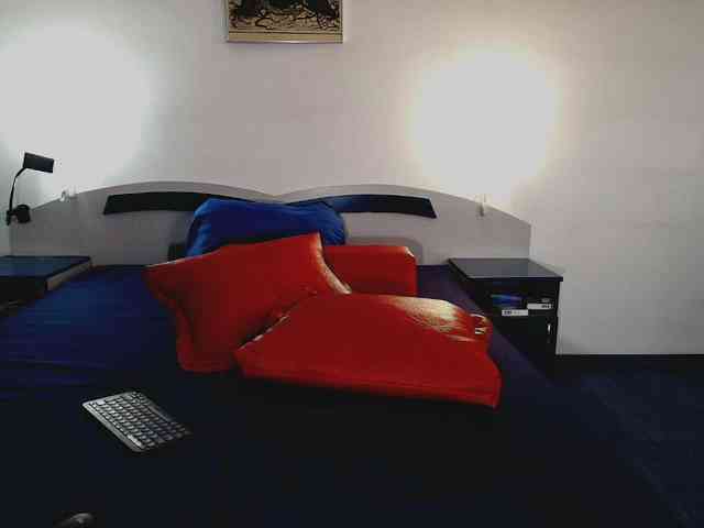 aryahunt webcam