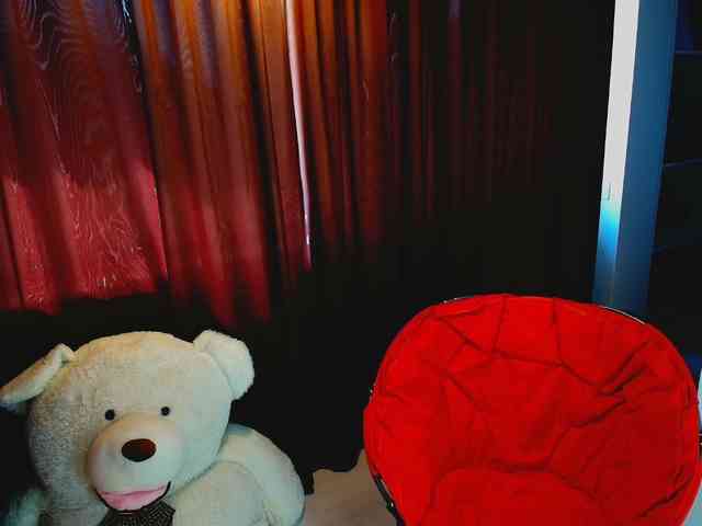 aryahunt webcam