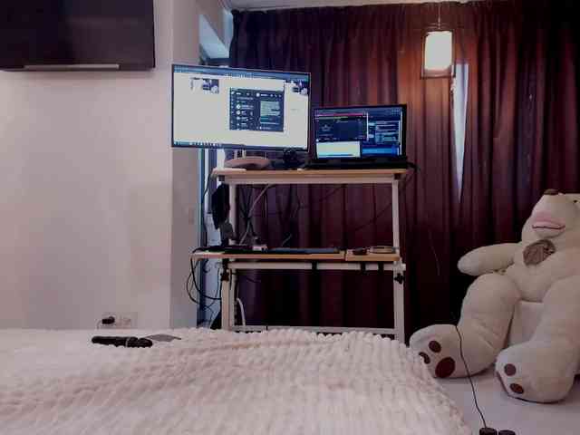 aryahunt webcam