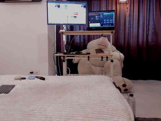 aryahunt webcam