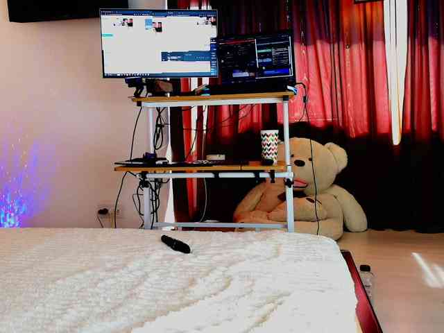 aryahunt webcam