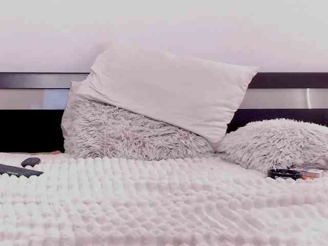 aryahunt webcam