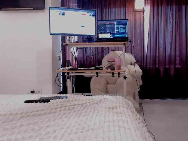 aryahunt webcam
