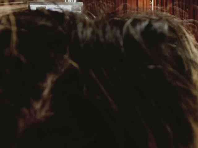 aryahunt webcam
