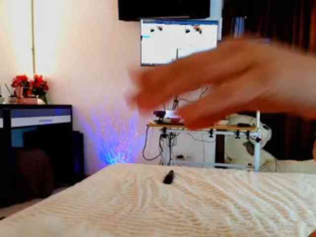 aryahunt webcam