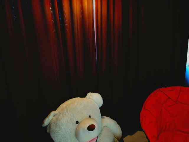 aryahunt webcam