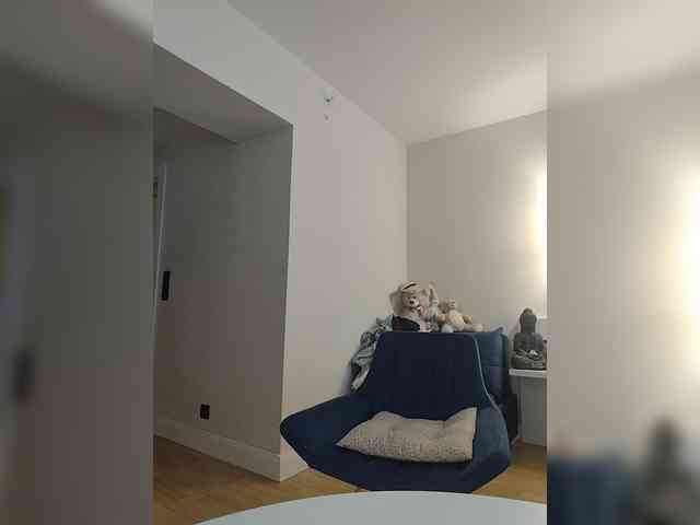 Zvezda_Lola webcam