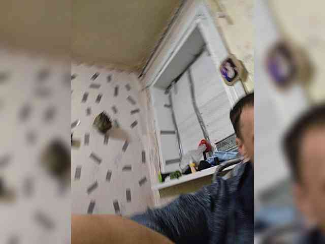 _KYNI-MEN_