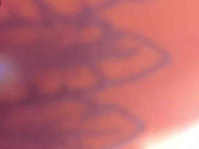 MariamRivera webcam