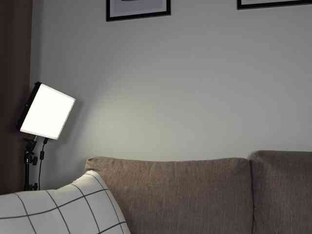 Persona-Kim webcam
