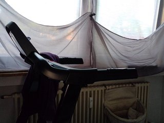 Wetgerman2 Porn Show