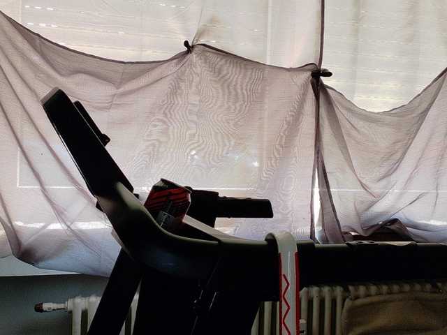 Wetgerman2 live cam on BongaCams
