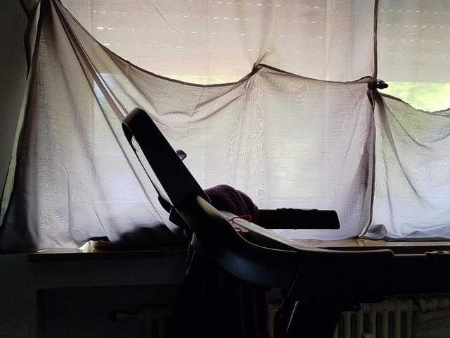 Wetgerman2 live webcam show